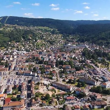Gite Les Glycines Gérardmer