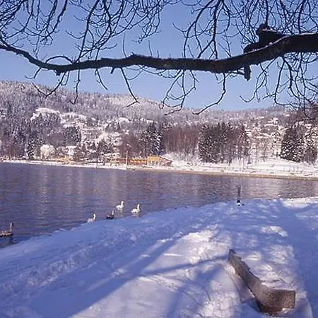 Appartement Les Glycines *