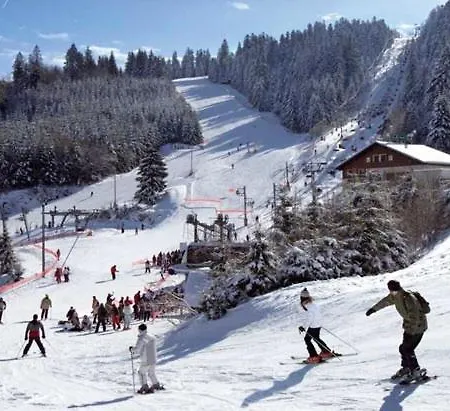 Apartment Gite Les Glycines