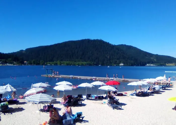 Gite Les Glycines Apartment Gerardmer