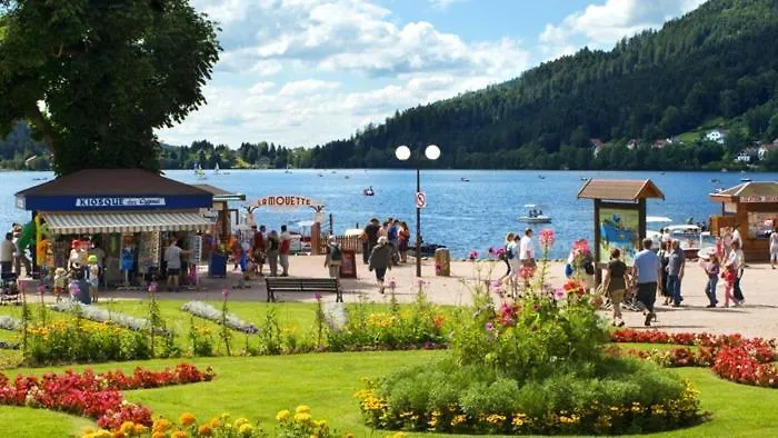 Gite Les Glycines * Gerardmer